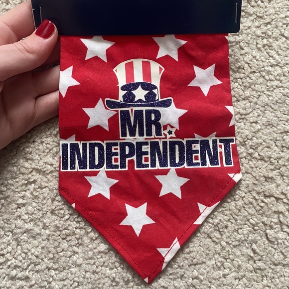 New 4th Of July Mr.Independent Red White And Blue Dog Bandana - Picture 5 of 5